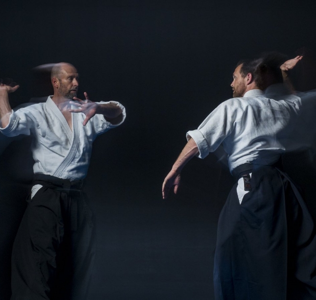Aikido Hareketleri