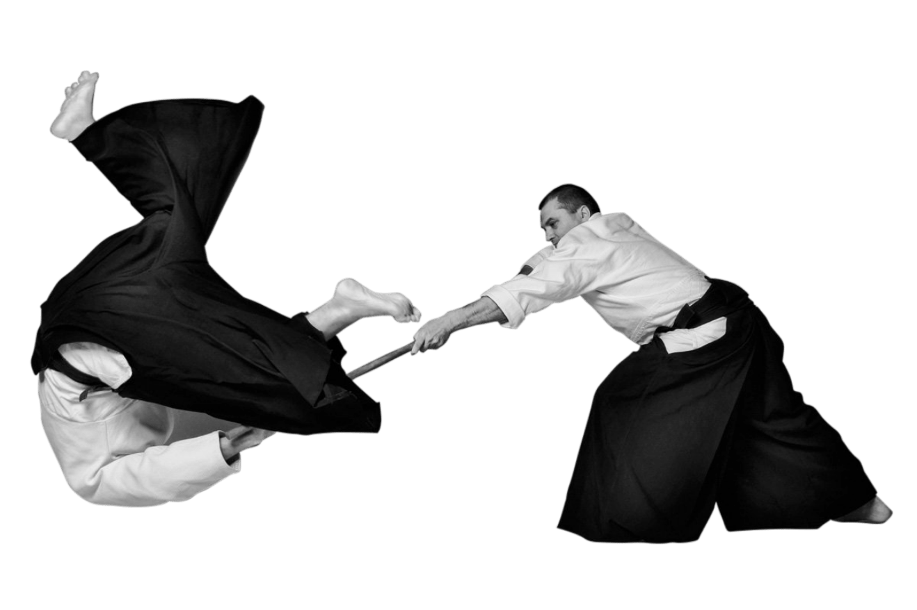 Yetişkin Aikido